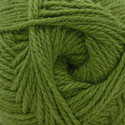 Cascade Cherub Aran Yarn color 95 Kelp