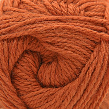 Cascade Cherub Aran Yarn color 97 Rust