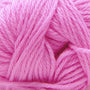 67 Begonia Pink