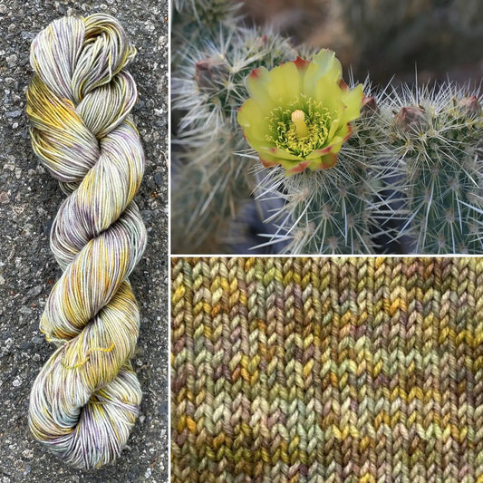 Cholla Cactus - Merino/Nylon Alder Fingering Yarn - Round Mountain Fibers