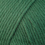 9776 Fern