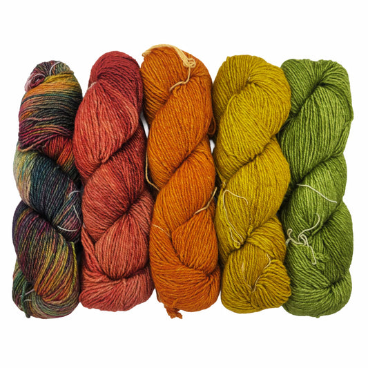 Malabrigo Dos Tierras DK Yarn Set - Fall Colors