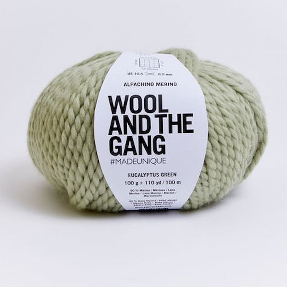 Wool and the Gang Alpachino Merino 014 Cameo Rose