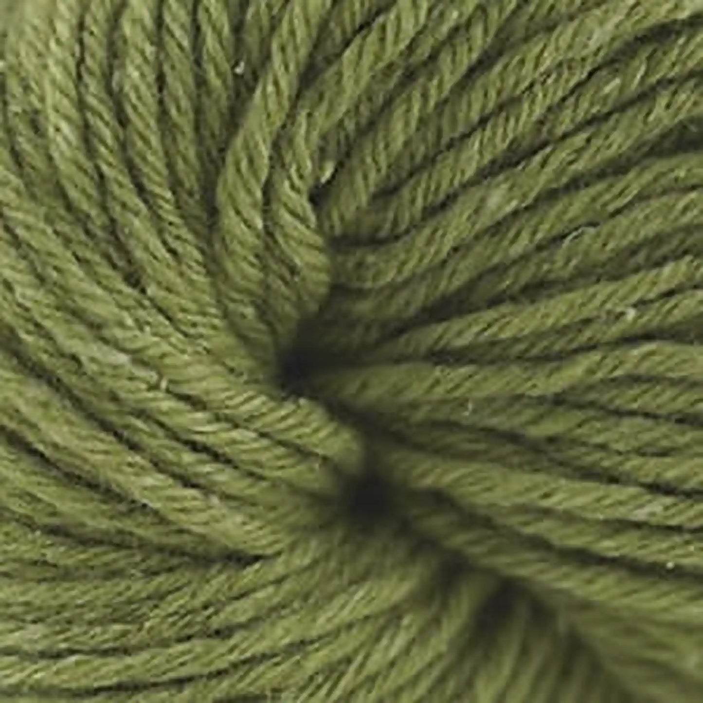 Cascade Friday Harbor Worsted Yarn color 29 Guacamole