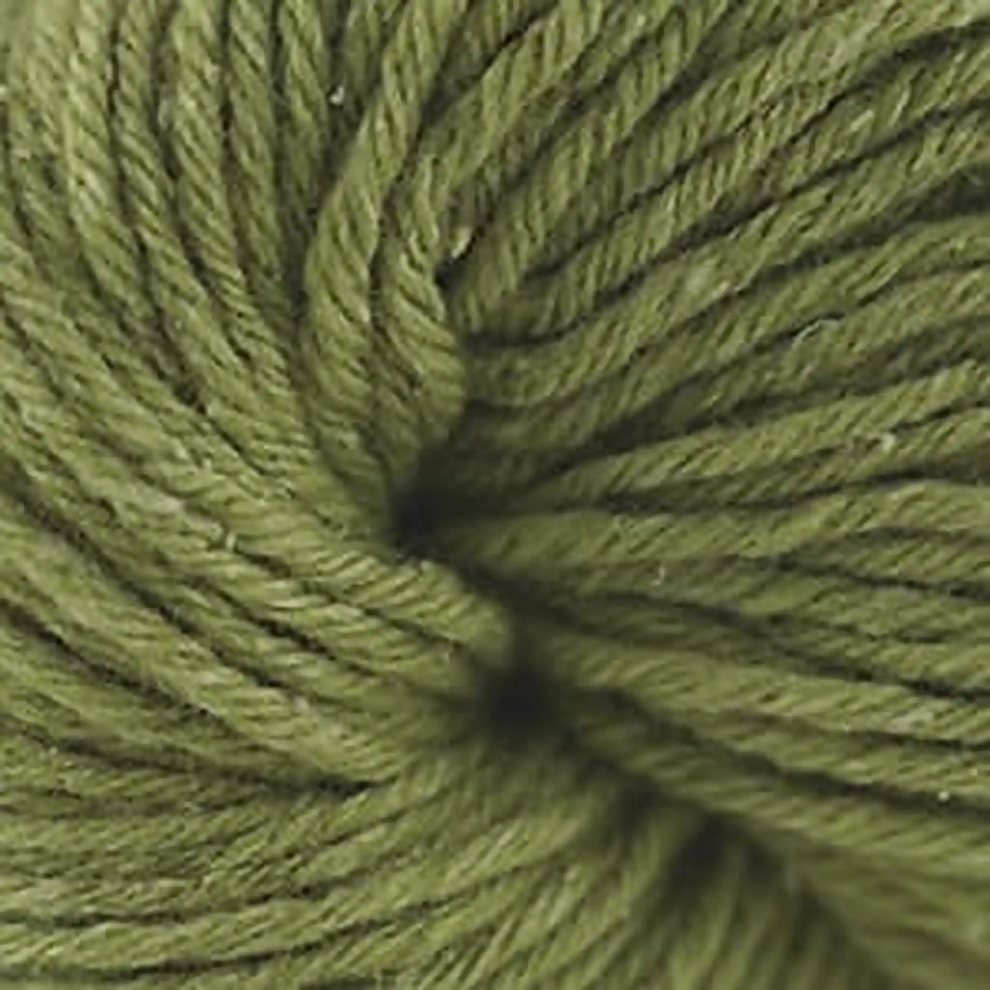 Cascade Friday Harbor Worsted Yarn color 29 Guacamole