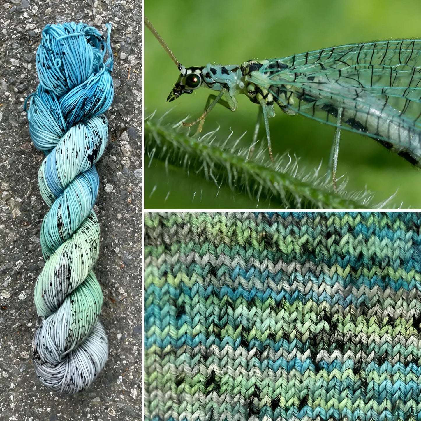Green Lacewing - Merino/Nylon Alder Fingering Yarn - Round Mountain Fibers