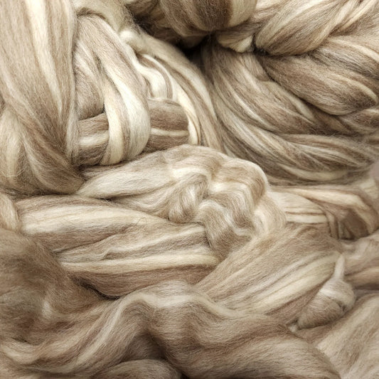 Paradise Fibers Humbug Blue Faced Leicester Top