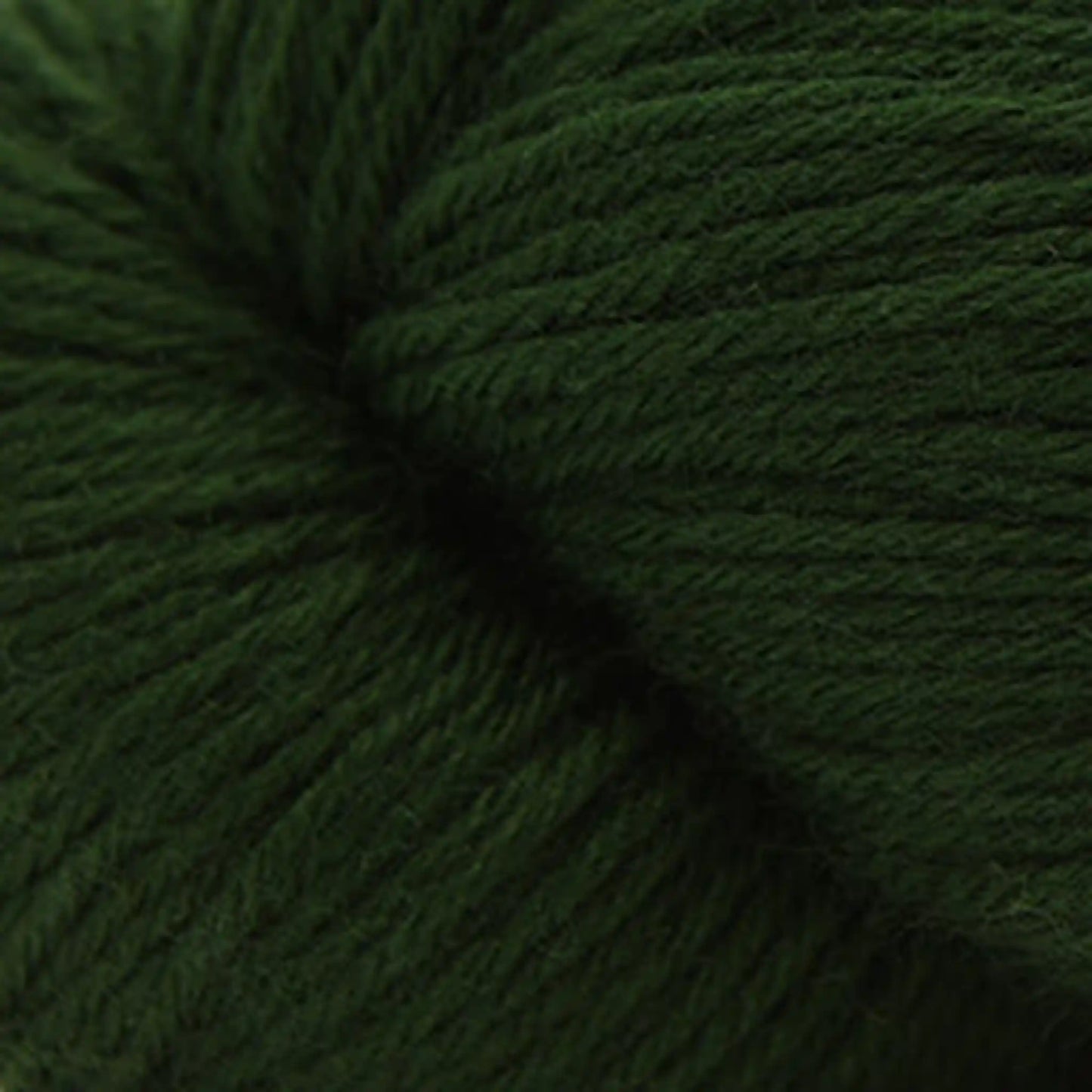 Cascade Heritage 6 Sport Yarn color Pine 5608