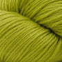 Avocado 5715