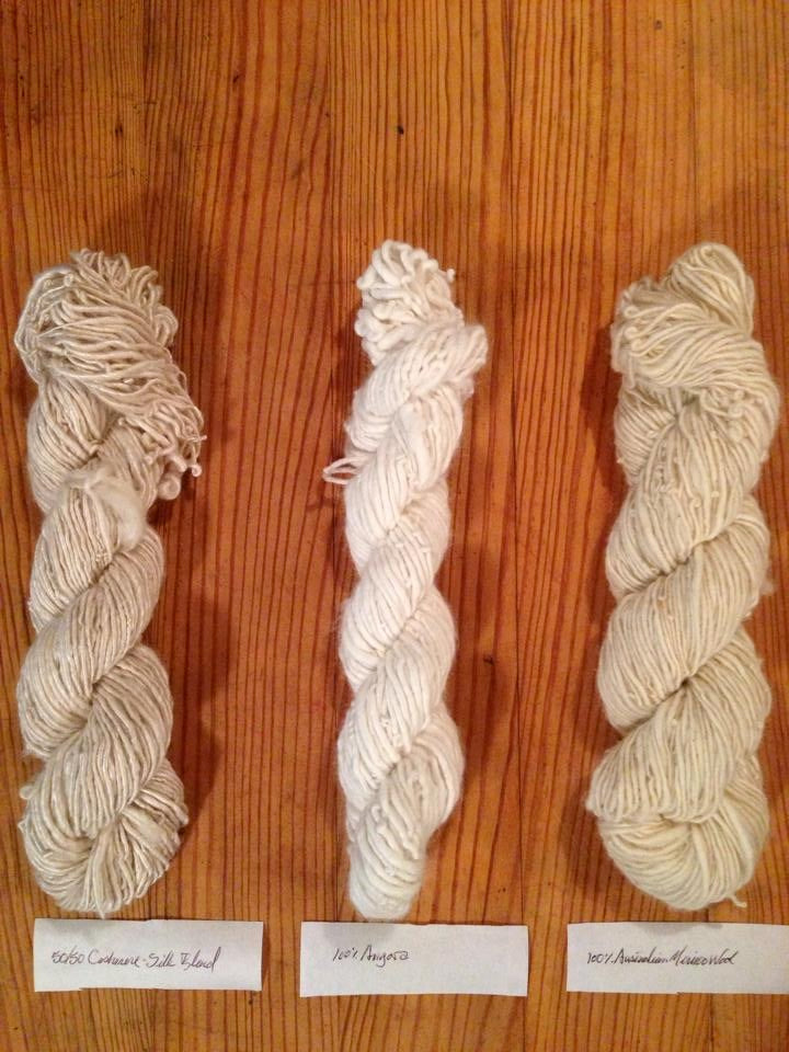 Natural Dyeing Class with Justin | Indigo and Shibori