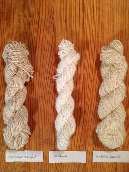 Natural Dyeing Class with Justin | Indigo and Shibori