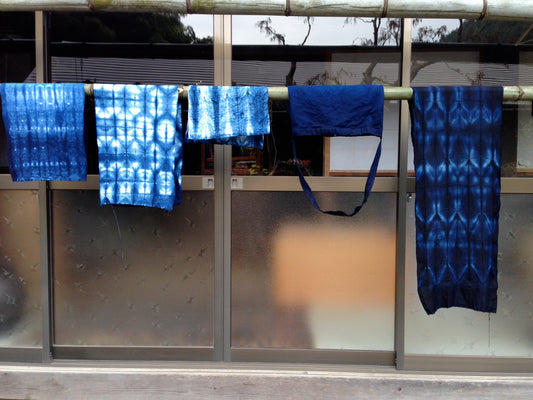 Natural Dyeing Class with Justin | Indigo and Shibori