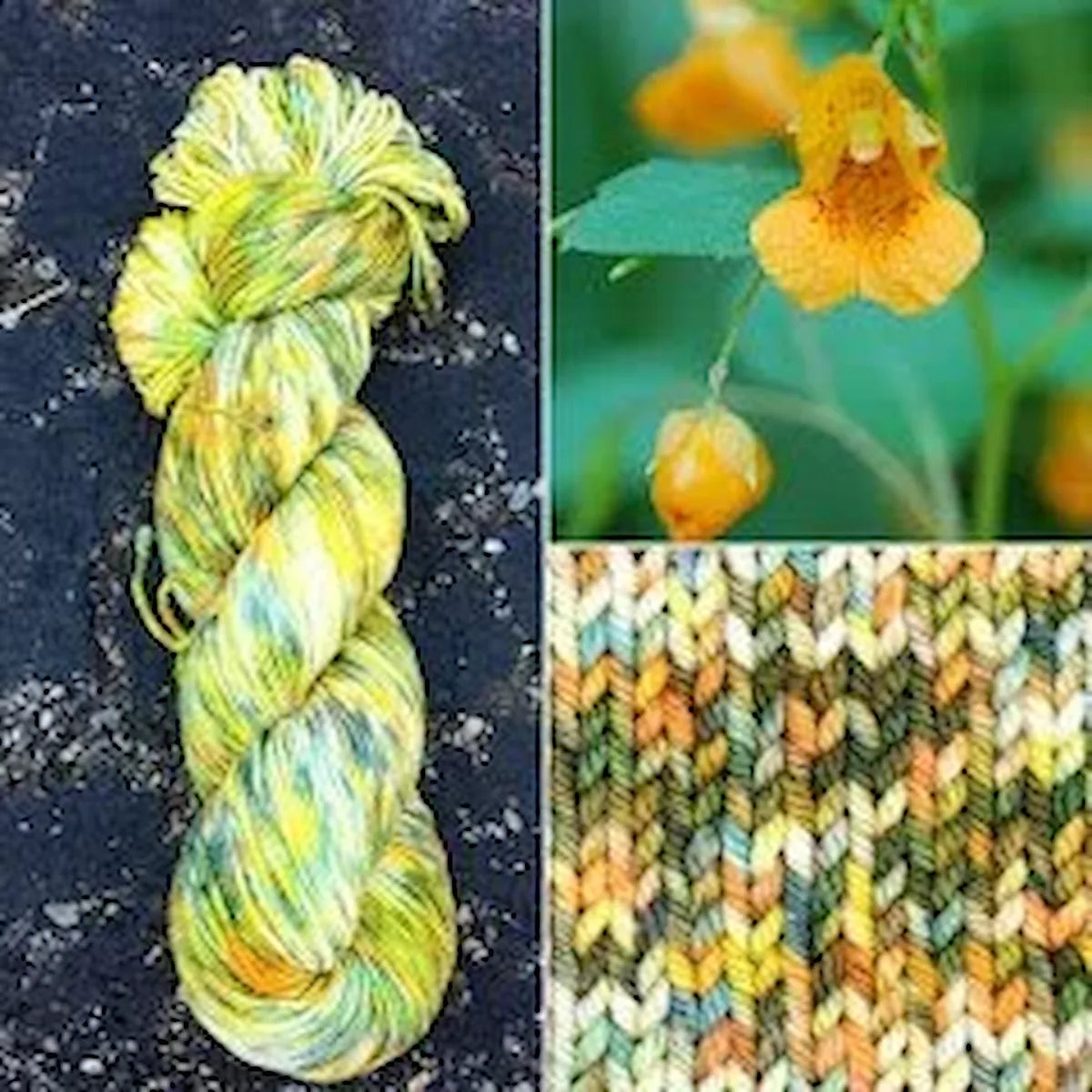 Jewel Weed - Superwash Merino Spruce Fingering Yarn