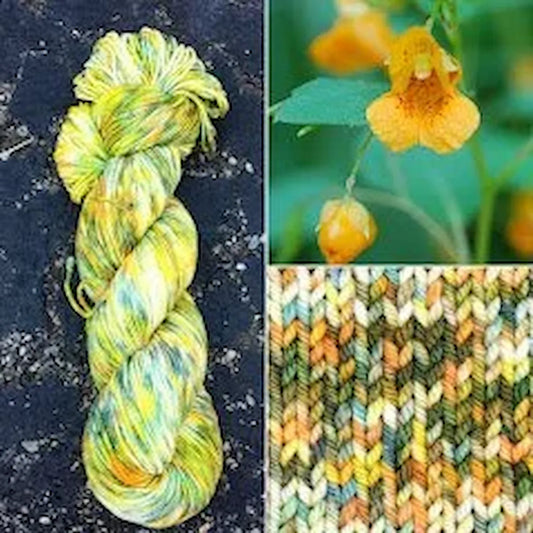 Jewel Weed - Superwash Merino Spruce Fingering Yarn