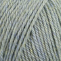 95107 Sage
