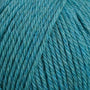 95121 Teal