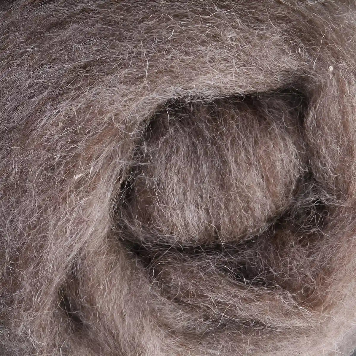 Ashford Corriedale Sliver - Light Wool Fiber for Projects