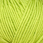 11240 Lime