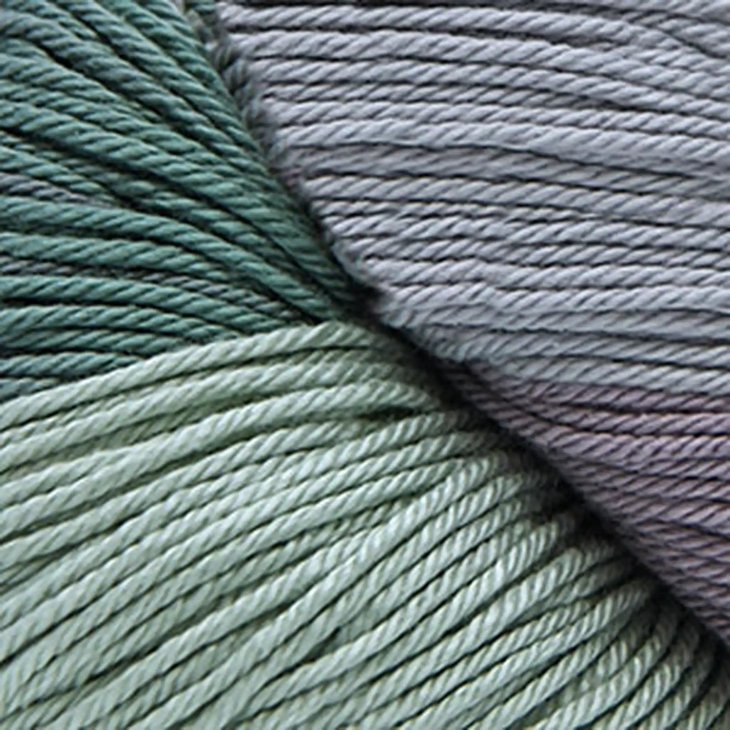 Cascade Noble Cotton Hand Dyed Light DK Yarn color 501 Succulent