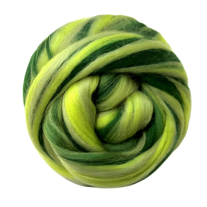 Multi Colored Merino Wool Top Northern Lights - Calm