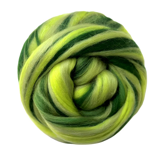 Multi Colored Merino Wool Top Northern Lights - Calm