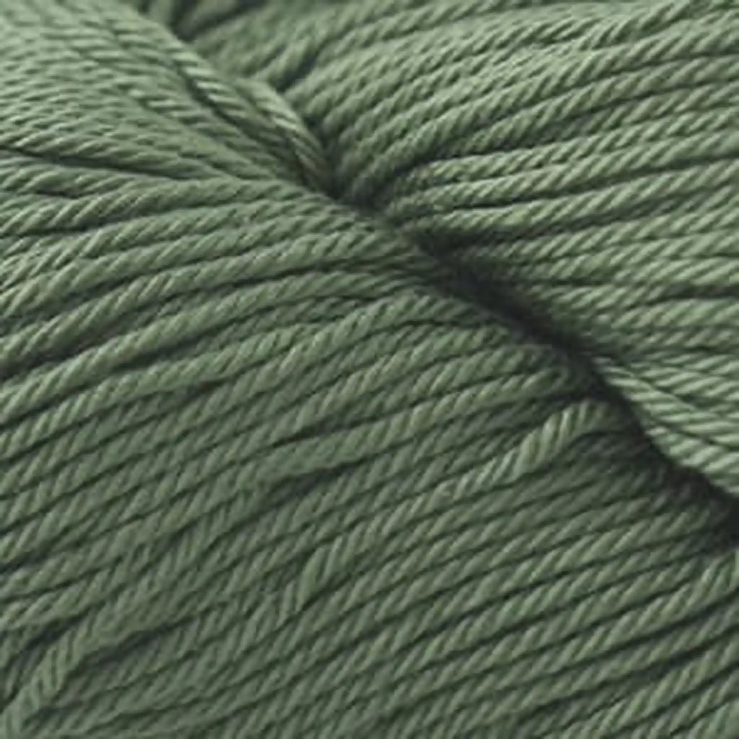 Cascade Noble Cotton Light DK Yarn color 25 - Watercress