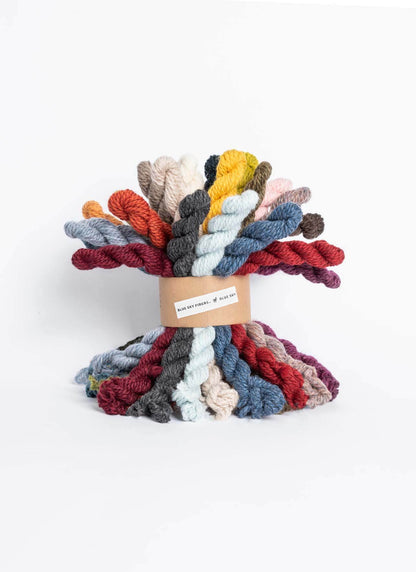 Blue Sky Fibers 27 Color Woolstok Bundle