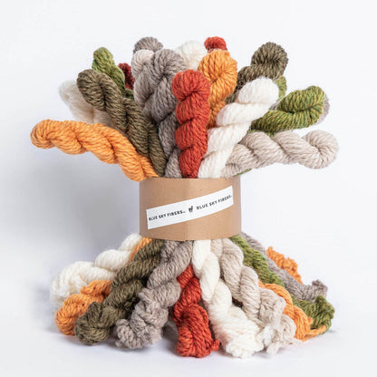 Blue Sky Fibers Woolstok Bundle Kits