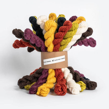Blue Sky Fibers Woolstok Bundle Kits