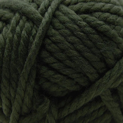 Cascade Pacific Bulky Yarn color 187 Grape Leaf