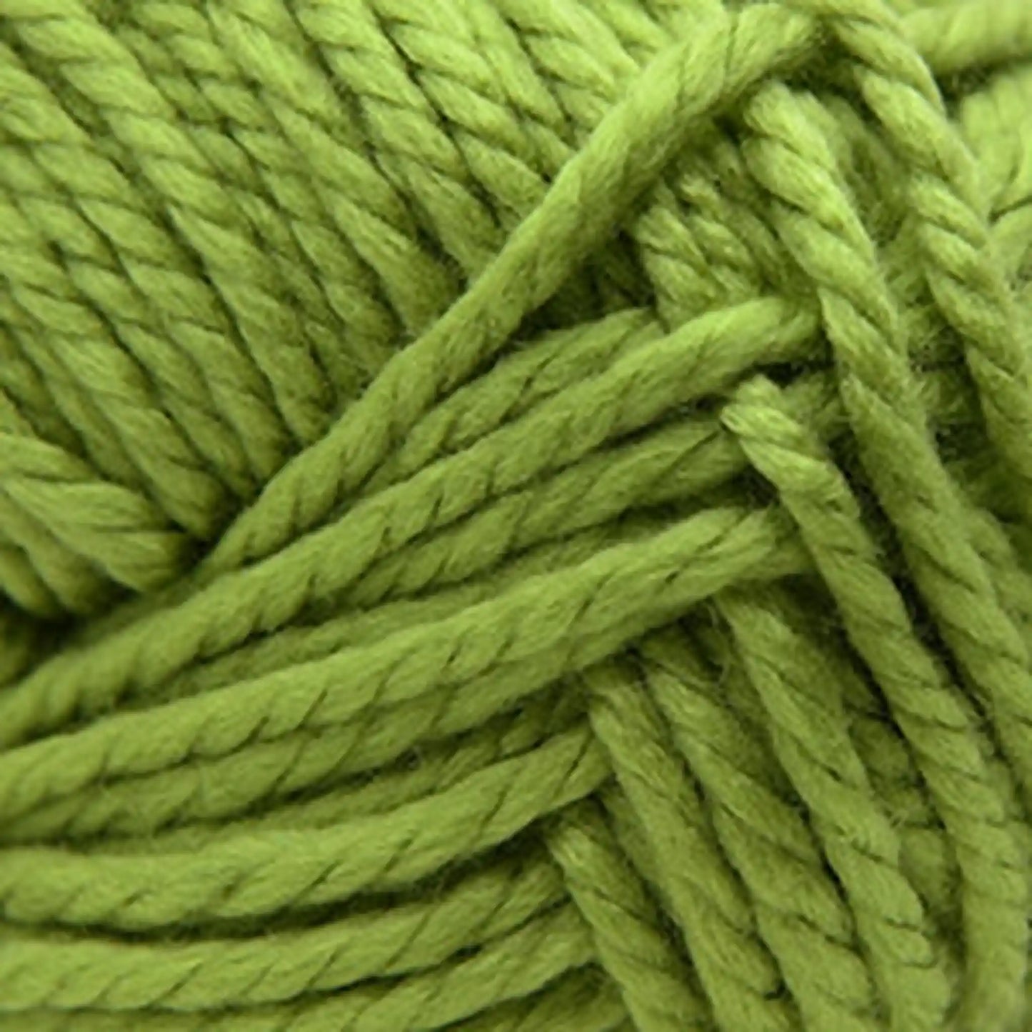 Cascade Pacific Bulky Yarn color 188 Fern