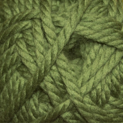 Cascade Pacific Bulky Yarn color 33 Cactus
