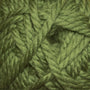 33 Cactus