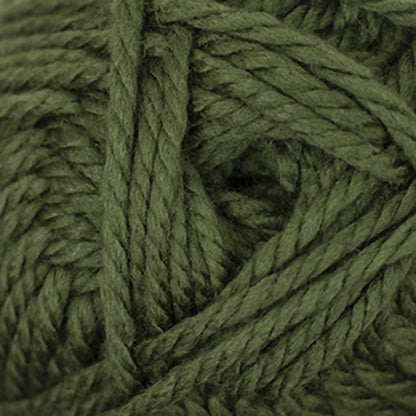 Cascade Pacific Chunky Yarn color 156 Cedar Green