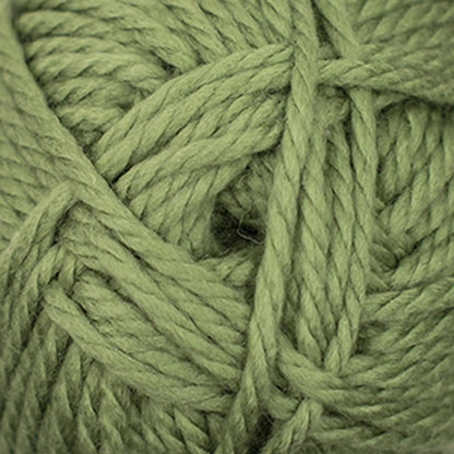Cascade Pacific Chunky Yarn color 157 Green Tea
