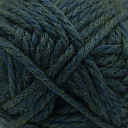 Cascade Pacific Chunky Yarn color 181 Spirulina Heather