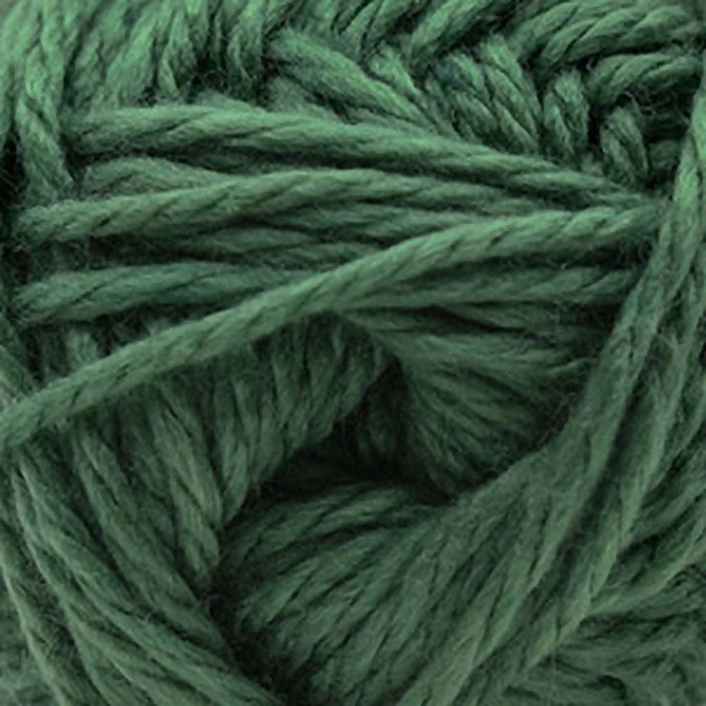 Cascade Pacific Chunky Yarn color 185 Duck Green