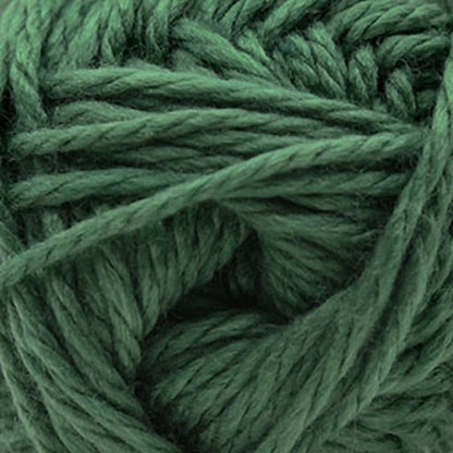 Cascade Pacific Chunky Yarn color 185 Duck Green