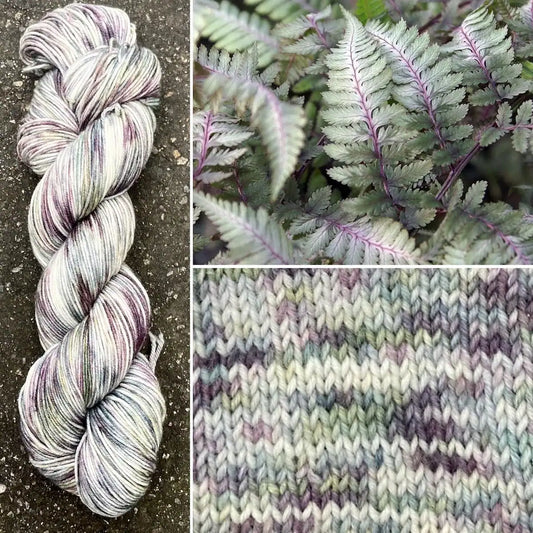 Painted Fern - Merino/Nylon Alder Fingering Yarn - Round Mountain Fibers