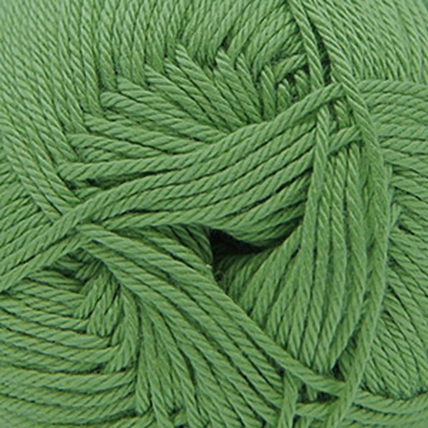 Cascade Pandamonium DK Yarn color 31 Pistachio