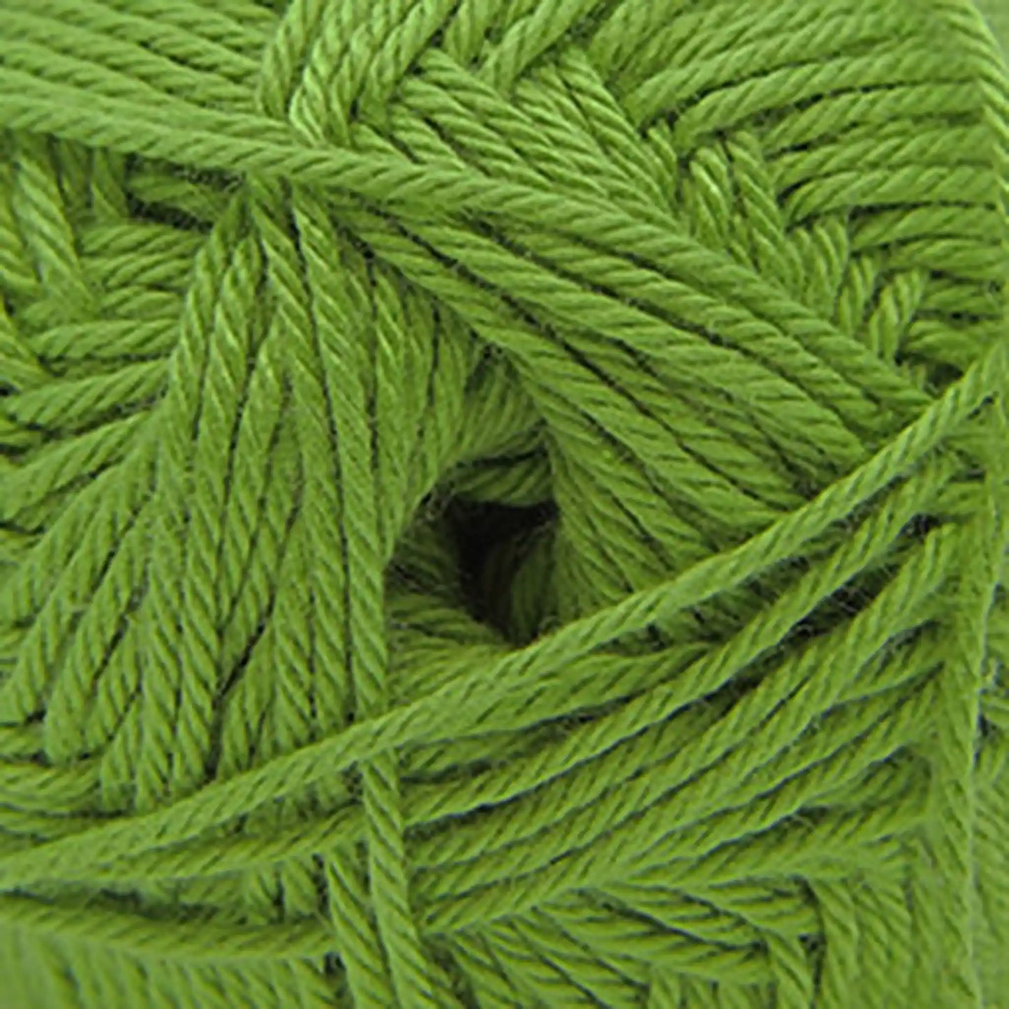 Cascade Pandamonium DK Yarn color 33 Herb