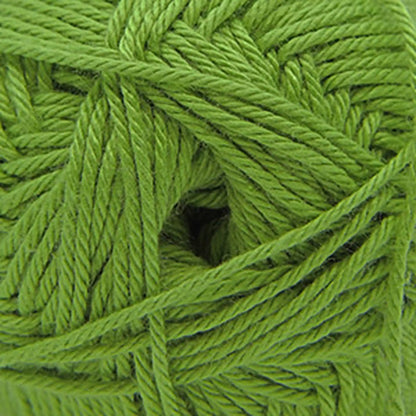 Cascade Pandamonium DK Yarn color 33 Herb