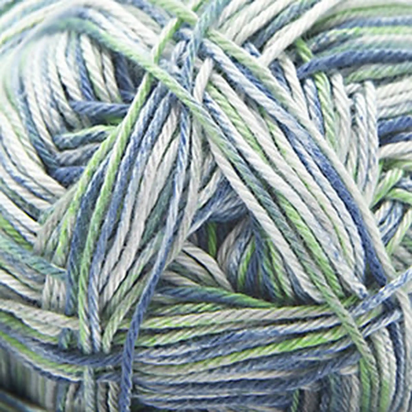 Cascade Pandamonium Multis DK Yarn color 408 Seattle