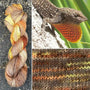 Brown Anole