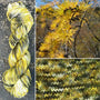 Tamarack Larch