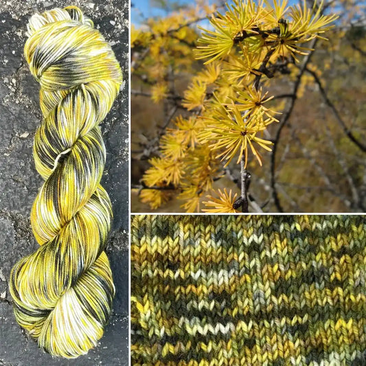 Tamarack Larch - Merino/Nylon Alder Fingering Yarn
