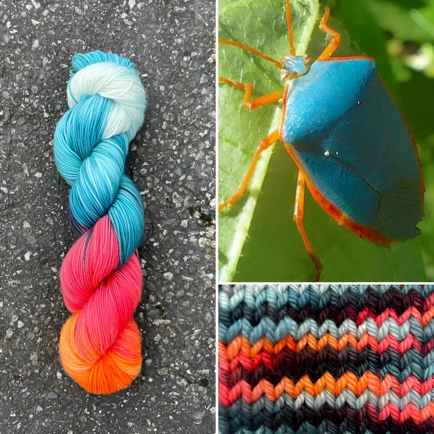 Red Bordered Stink Bug - Merino/Nylon Alder Fingering Yarn - Round Mountain Fibers