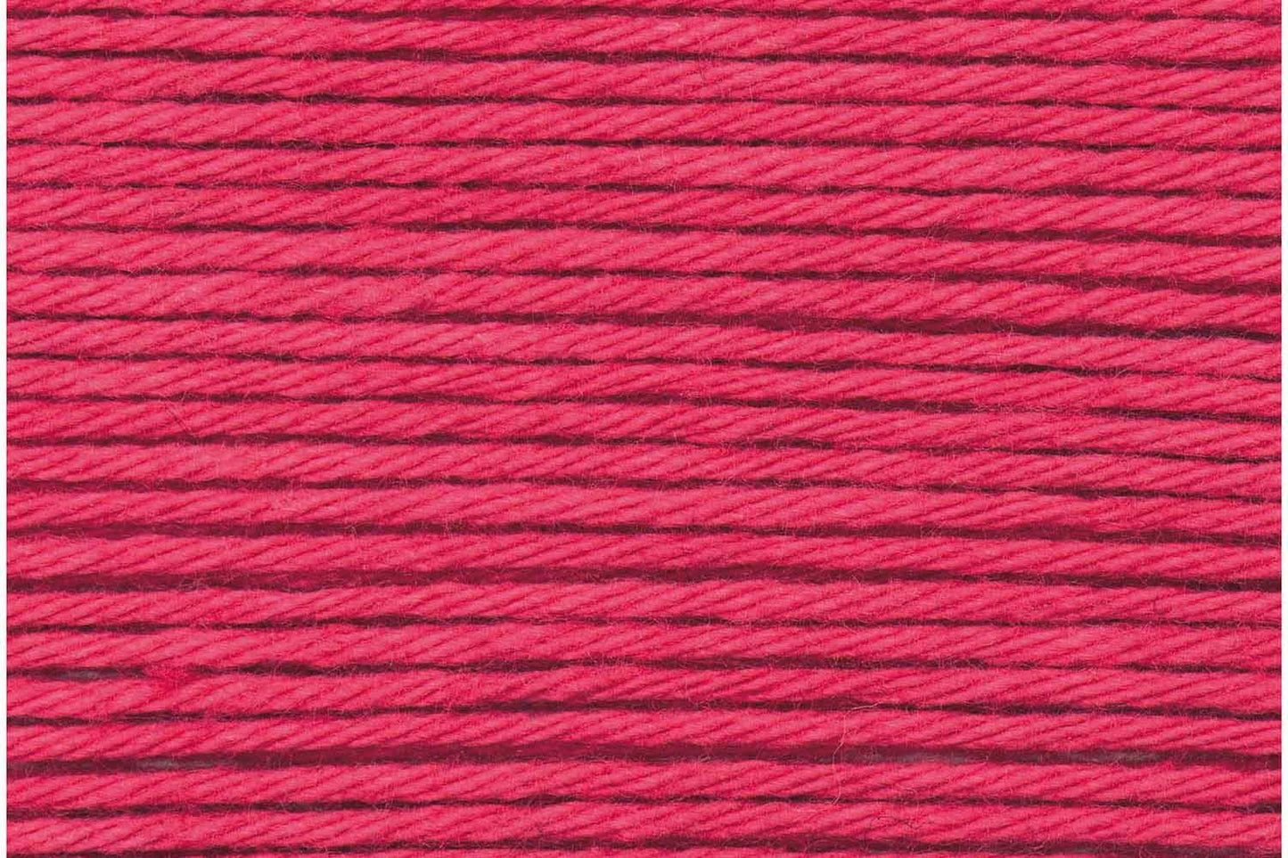013 Raspberry