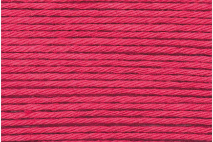 013 Raspberry