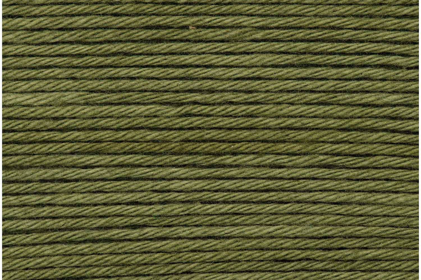 048 Olive